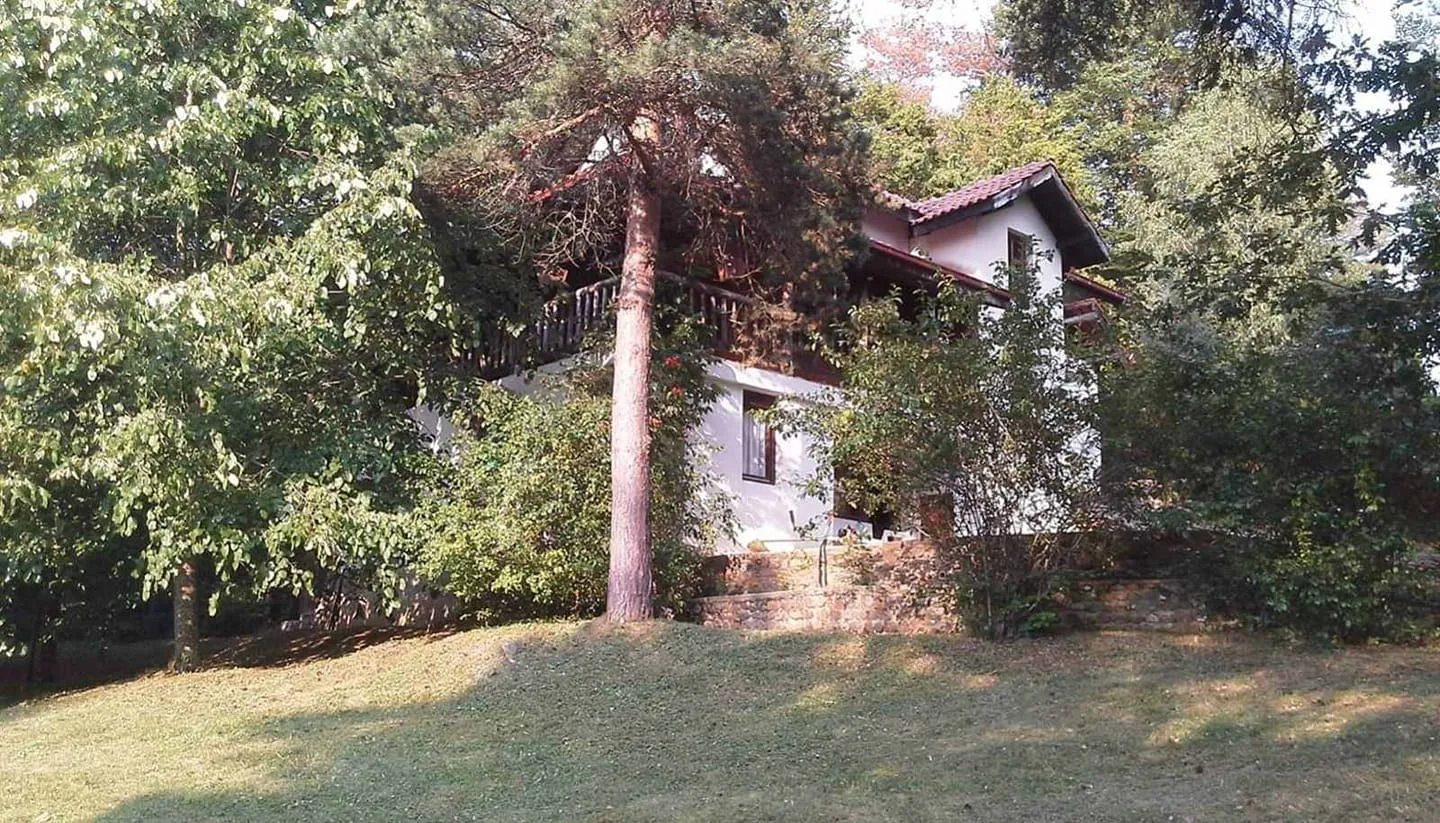 Вила „Чичак“