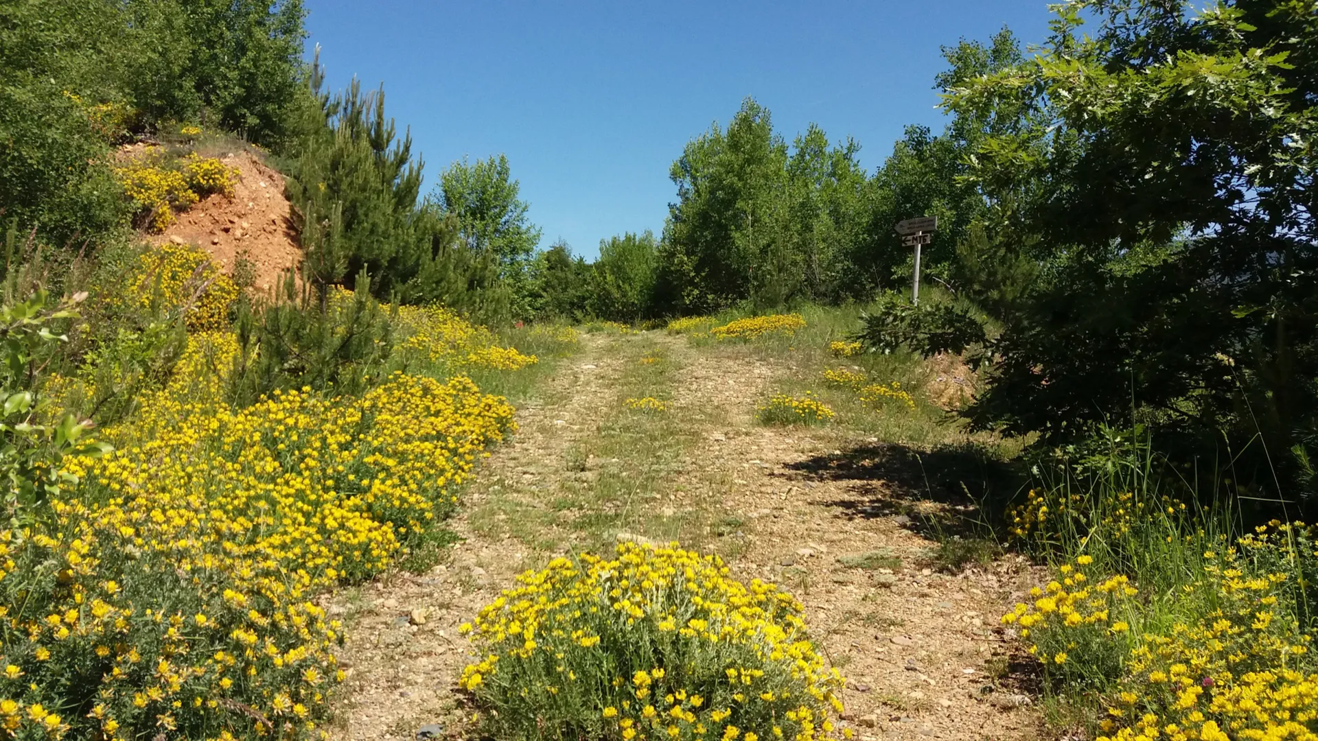 Berovo - Berovo Lake