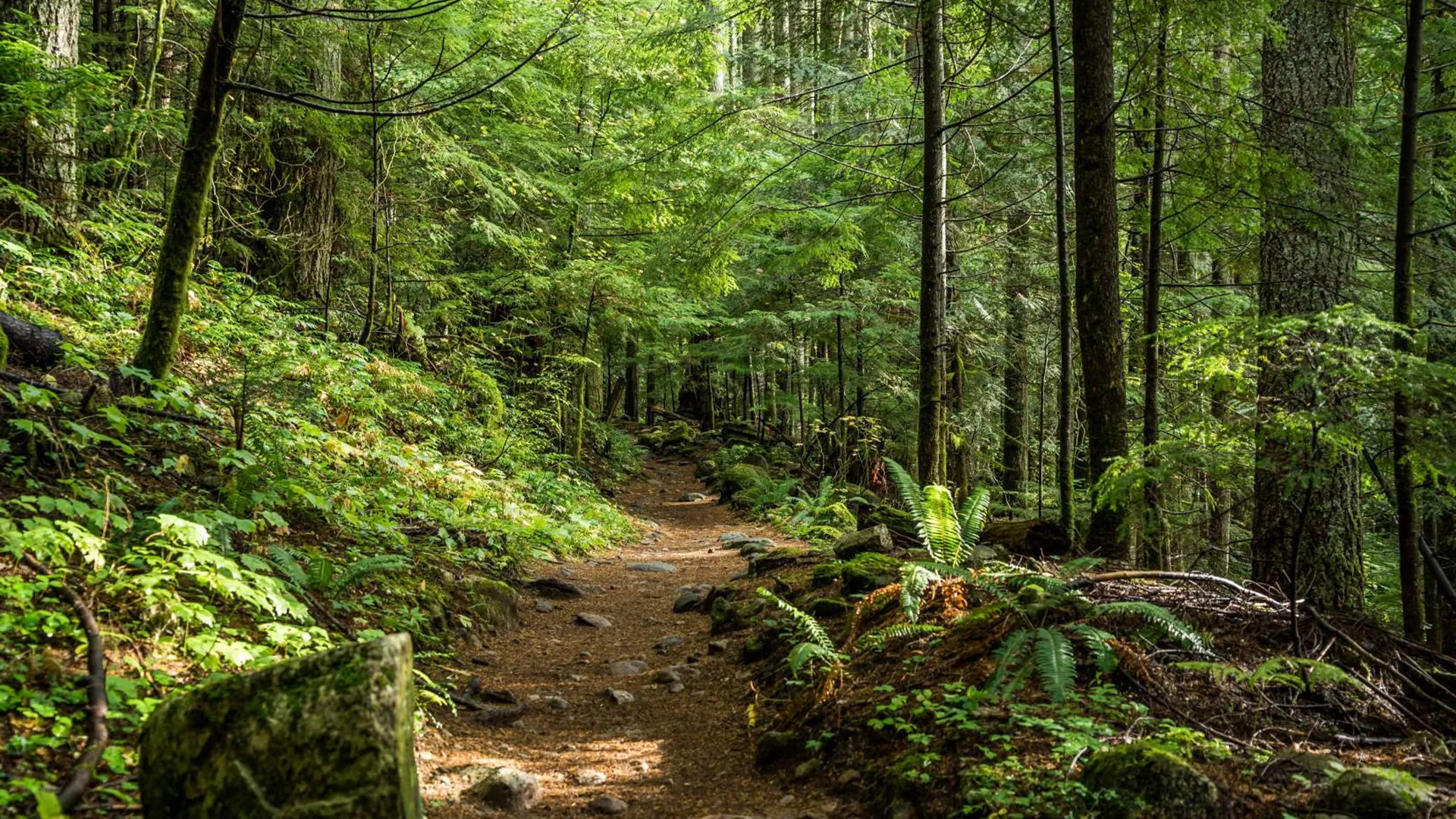 Берово - Ратево