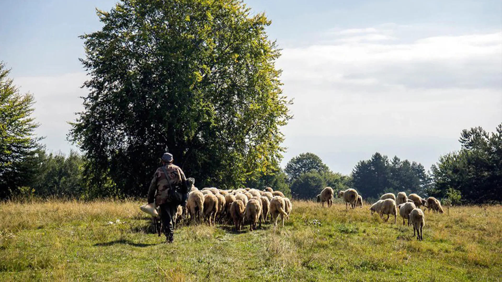 Граничен премин Клепало - Бачило